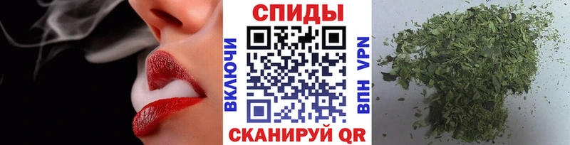 Купить где  Нытва  Бутират BDO 33% 