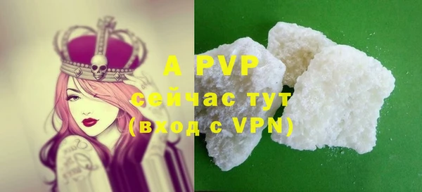 ПСИЛОЦИБИНОВЫЕ ГРИБЫ Белокуриха
