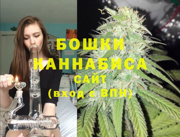 прущие грибы Белоозёрский