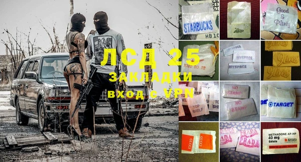 прущие грибы Белоозёрский