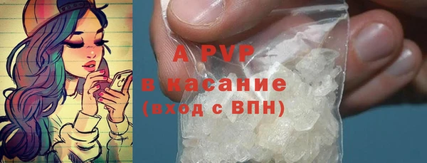прущие грибы Белоозёрский